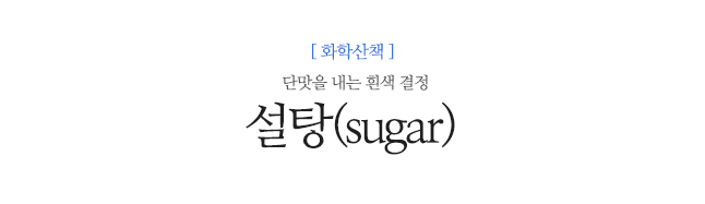 설탕(sugar)
