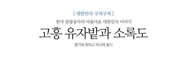 고흥 유자밭과 소록도 향기에 취하고 역사에 울다