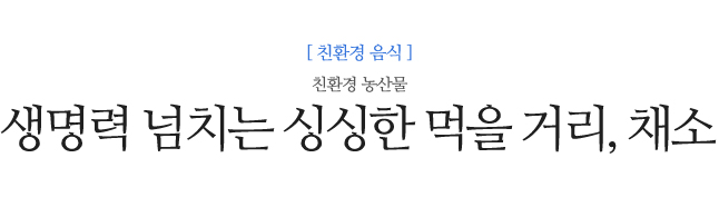 생명력 넘치는 싱싱한 <br />
먹을 거리, 채소  친환경 농산물  