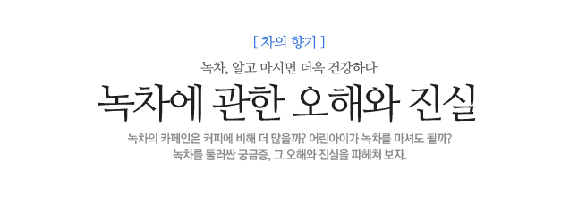 녹차에 관한 오해와 진실