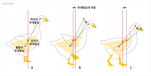 img24.png?type=w646 img24.png?type=w646