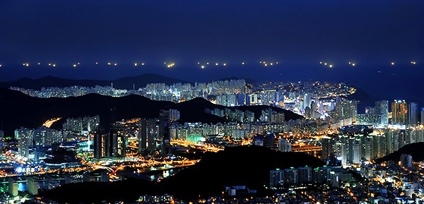 오징어를찾는사람들 이미지