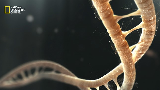 DNA