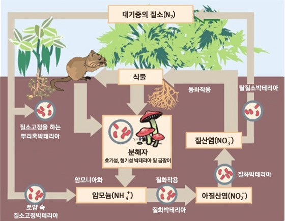 세기비료 이미지
