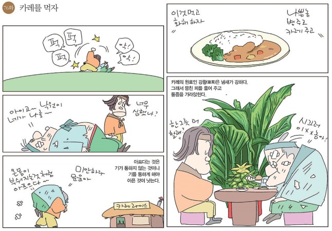 카레담 이미지