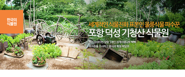 포항 덕성 기청산 식물원 세계적인 식물진화 표본인 울릉식물파수꾼 현지 자생지엔 달랑 3개인 섬개야광나무 빽빽<br>희귀종들 조사하고 증식과 복원 매달려