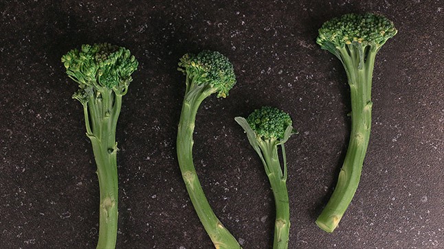 ݸ(broccolini)