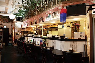 핀란드 거리에는 고양이가 없다 - 방송인 따루 | 인스티즈