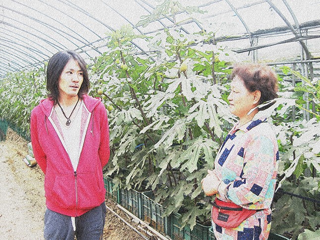 구운 무화과와 참깨 소스 이미지 1