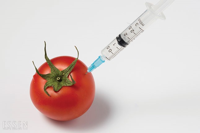 GMO, 우린 얼마나 알고 있는 걸까? 이미지 4