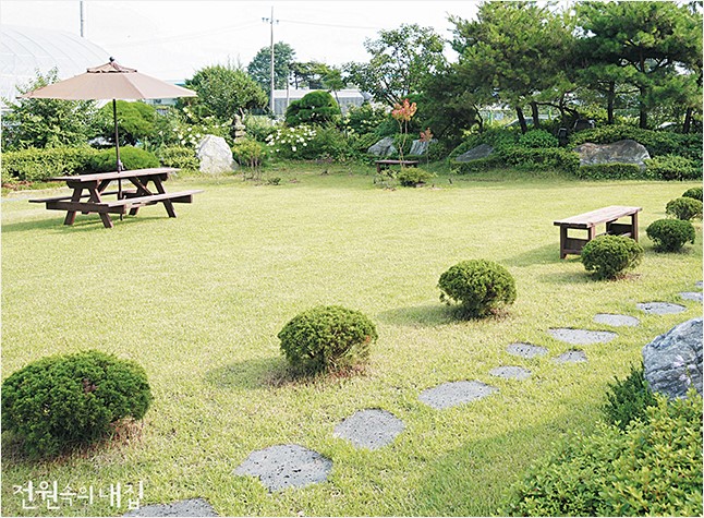 수종부터 관리까지 알아보는 잔디 가이드 이미지 7