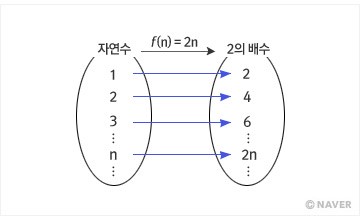 함수 이미지 3