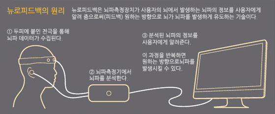뉴로 이미지