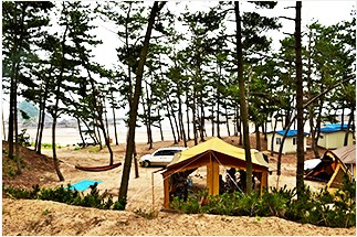 곰섬캠핑장 이미지
