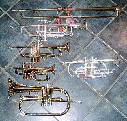 (왼쪽) 위 부터 D조 바로크 트럼펫, B♭조 트럼펫, D조 트럼펫, B♭조 피콜로 트럼펫, B♭조 플루겔호른. (오른쪽) B♭조 코르넷 <출처: Wikimedia>