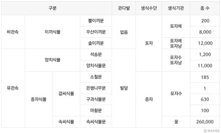 식물계 이미지 1