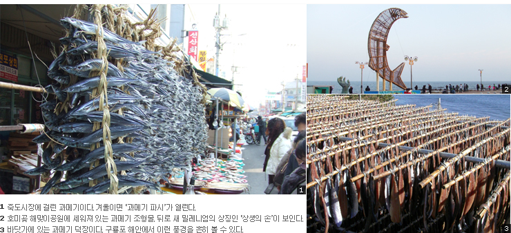 포항과메기 이미지