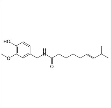 고추의 매운맛을 내는 화학물질, 캡사이신의 분자 구조.