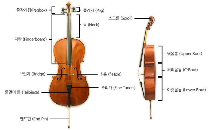 첼로 이미지