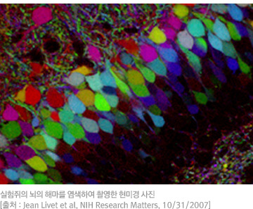 푸욱 이미지
